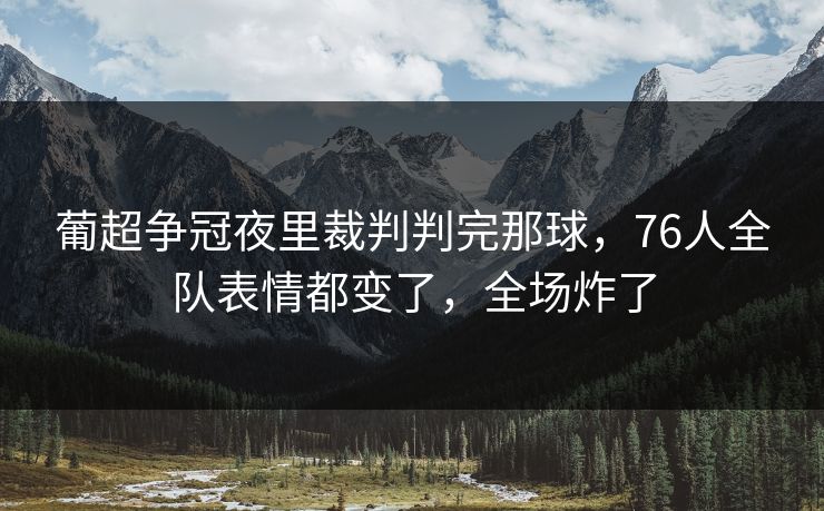 葡超争冠夜里裁判判完那球，76人全队表情都变了，全场炸了